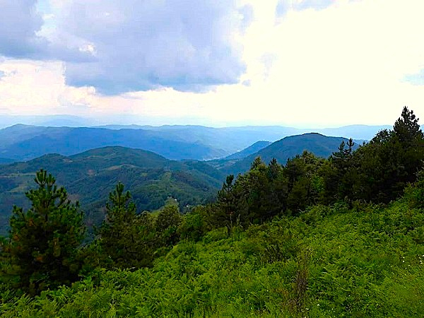 MAČK05
