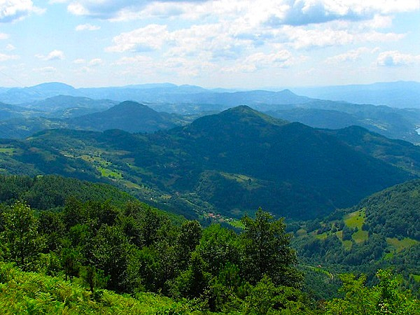 MAČK06