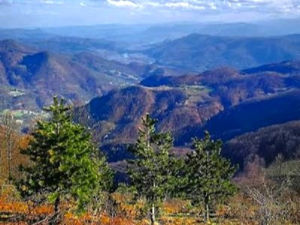 MAČK07
