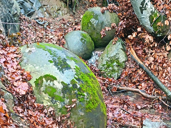 PK018