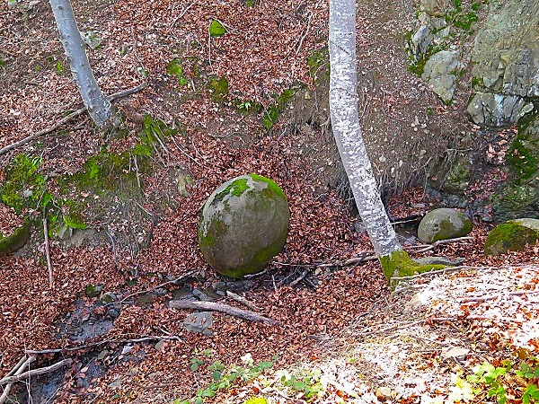 PK05