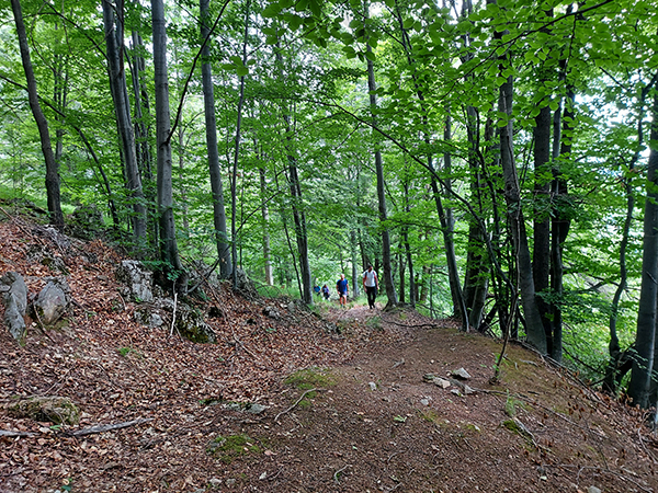cerska-tv-2